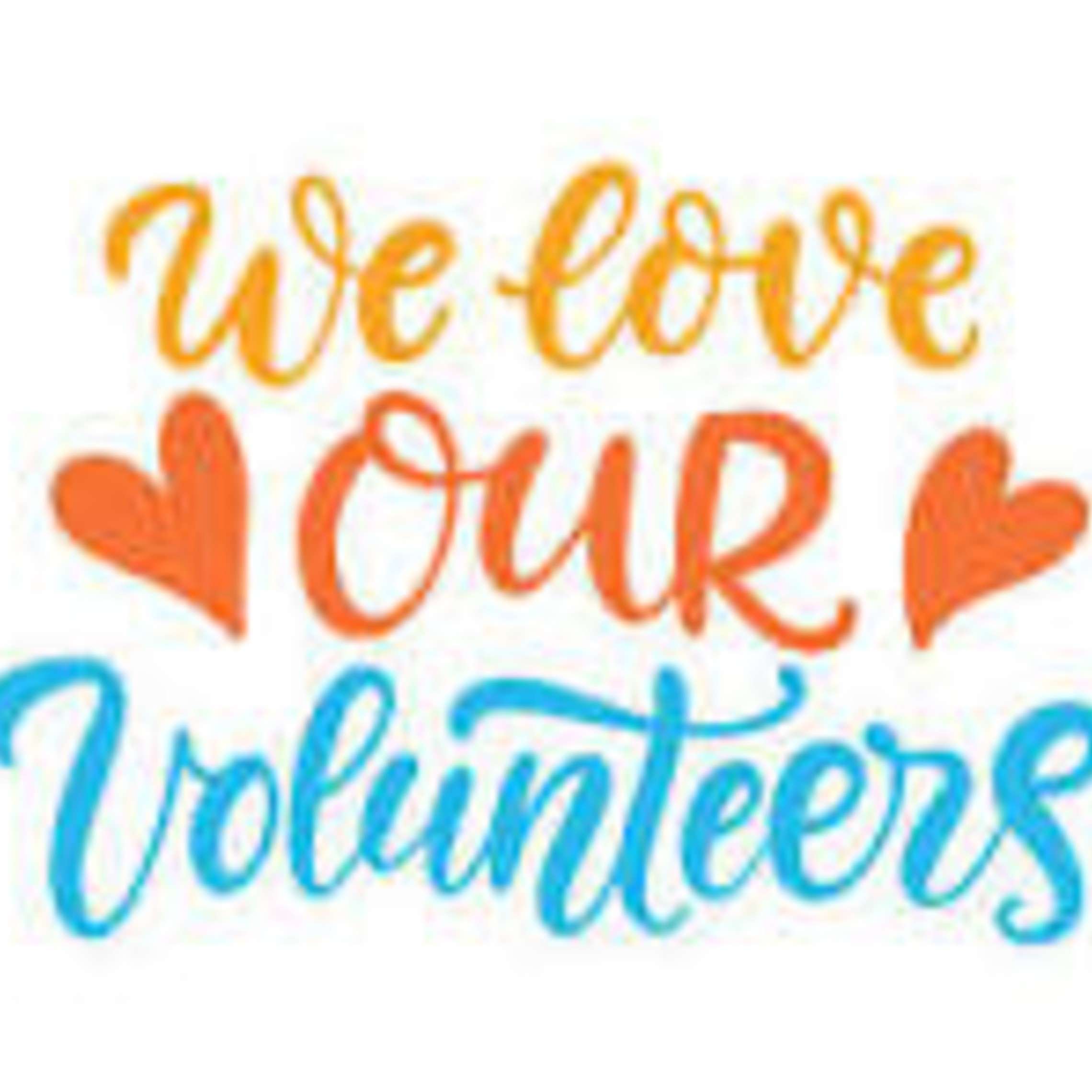 Volunteers2