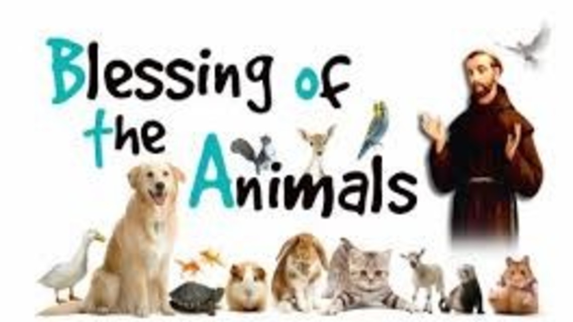 Blessing Of The Animals